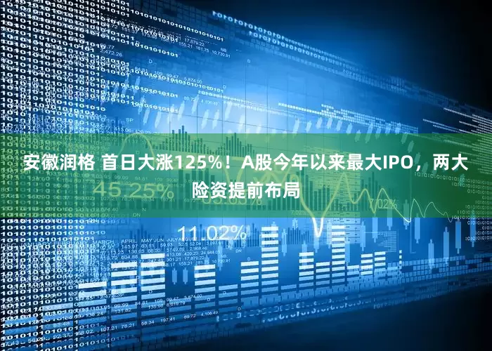 安徽润格 首日大涨125%！A股今年以来最大IPO，两大险资提前布局