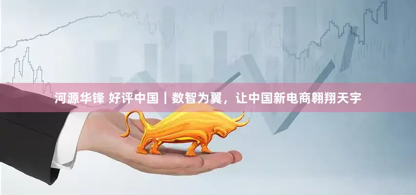 河源华锋 好评中国｜数智为翼，让中国新电商翱翔天宇
