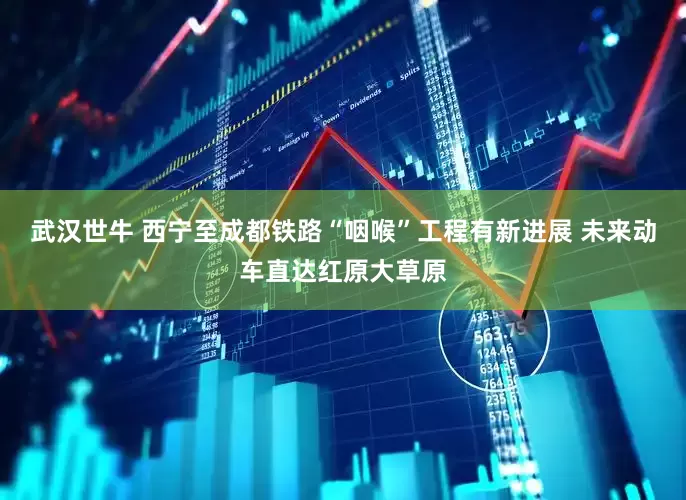 武汉世牛 西宁至成都铁路“咽喉”工程有新进展 未来动车直达红原大草原