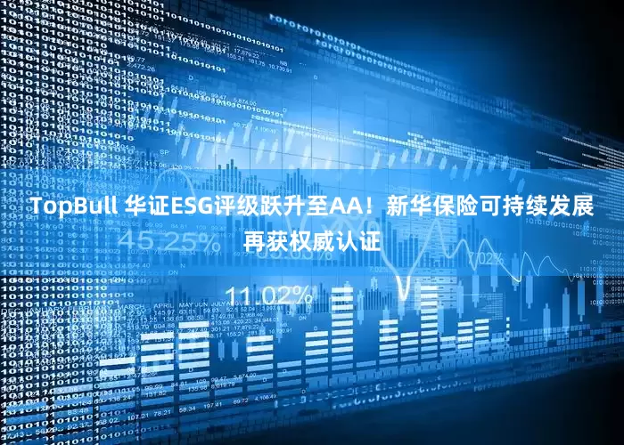 TopBull 华证ESG评级跃升至AA！新华保险可持续发展再获权威认证