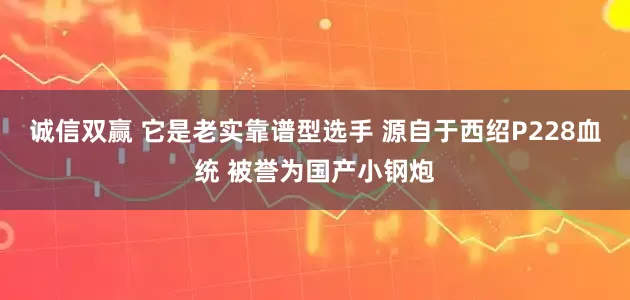 诚信双赢 它是老实靠谱型选手 源自于西绍P228血统 被誉为国产小钢炮
