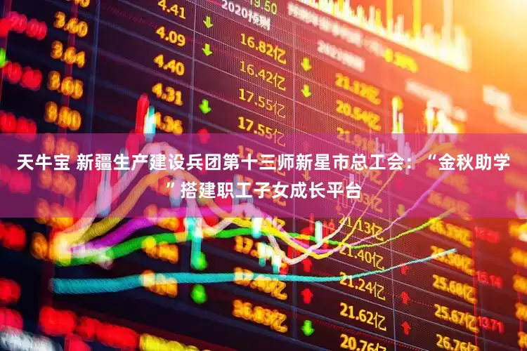 天牛宝 新疆生产建设兵团第十三师新星市总工会：“金秋助学”搭建职工子女成长平台