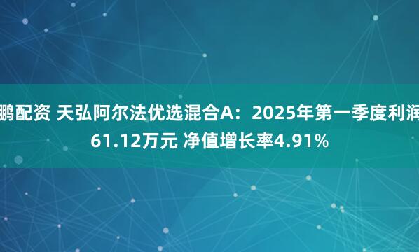 鹏配资 天弘阿尔法优选混合A：2025年第一季度利润61.12万元 净值增长率4.91%