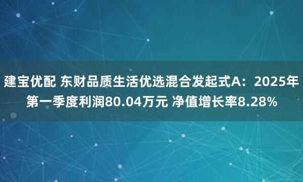 建宝优配 东财品质生活优选混合发起式A:2025年第一季度利润80.04万元 净值增长率8.28%