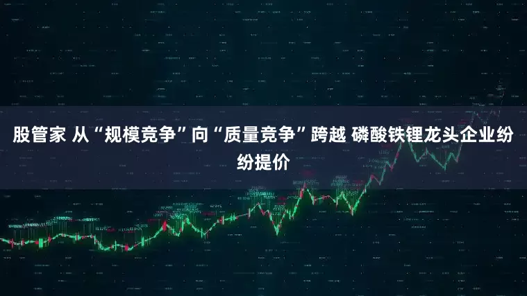 股管家 从“规模竞争”向“质量竞争”跨越 磷酸铁锂龙头企业纷纷提价