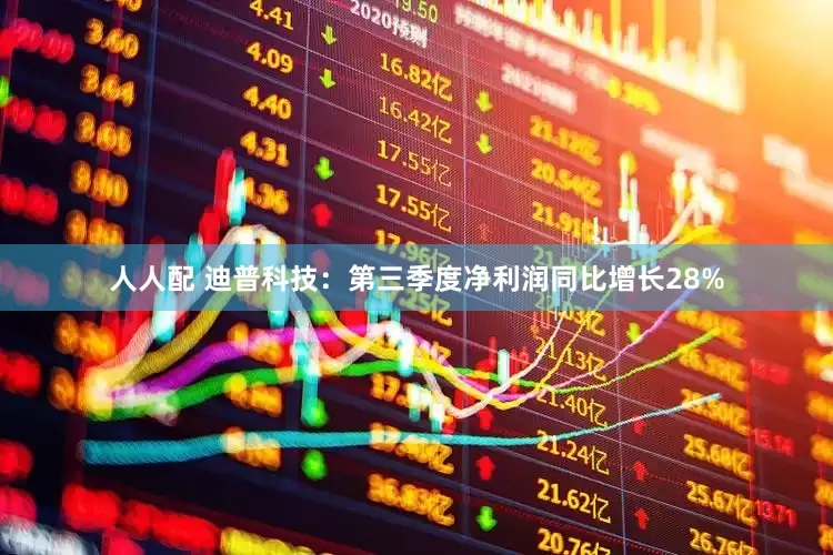 人人配 迪普科技：第三季度净利润同比增长28%